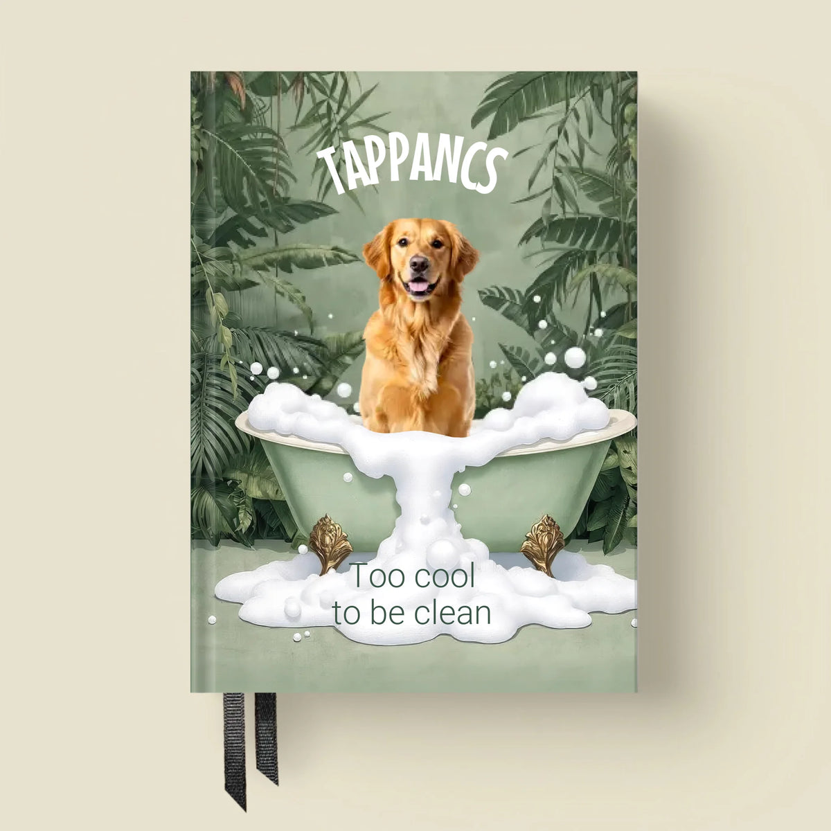mockup_borito_brinuti_tib másolat
