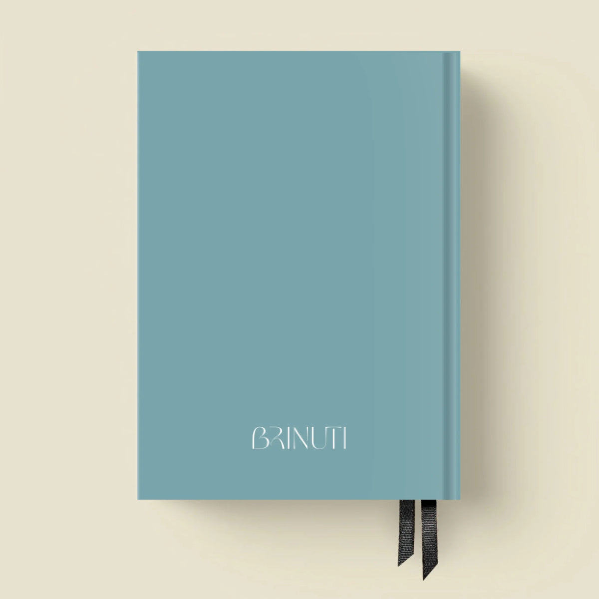 mockup_borito_brinuti_tib másolat