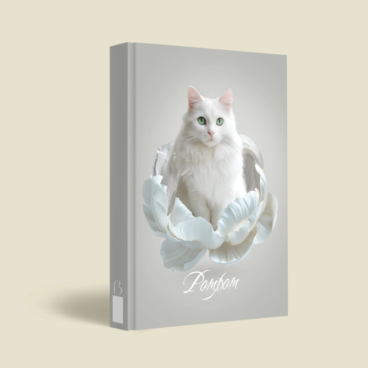 mockup_borito_brinuti_tib másolat
