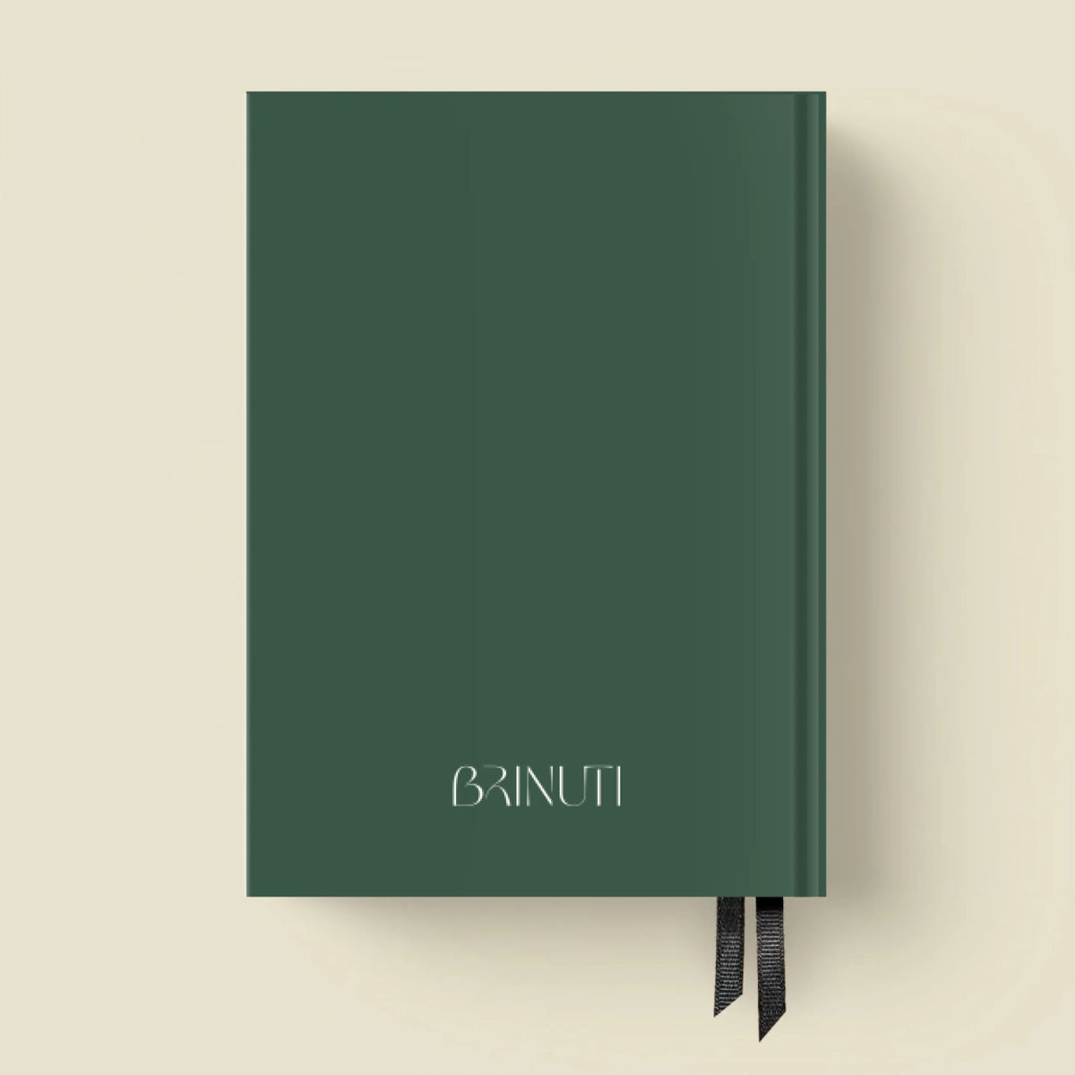 mockup_borito_brinuti_tib másolat