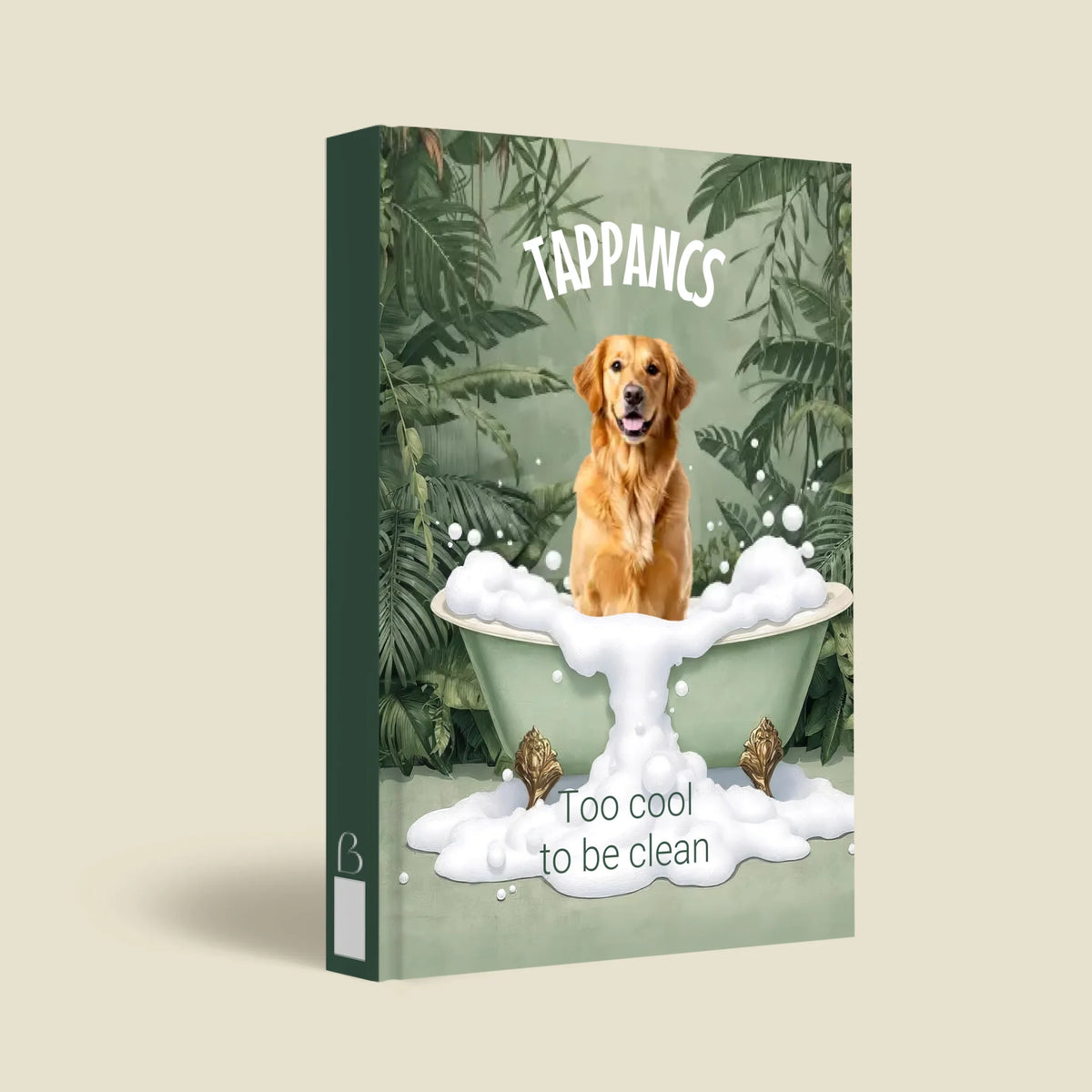 mockup_borito_brinuti_tib másolat