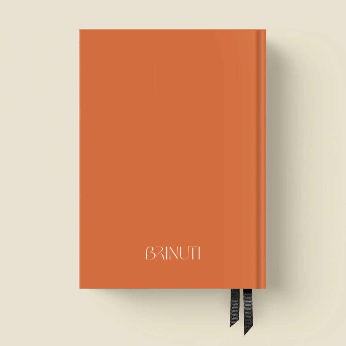 mockup_borito_brinuti_tib másolat