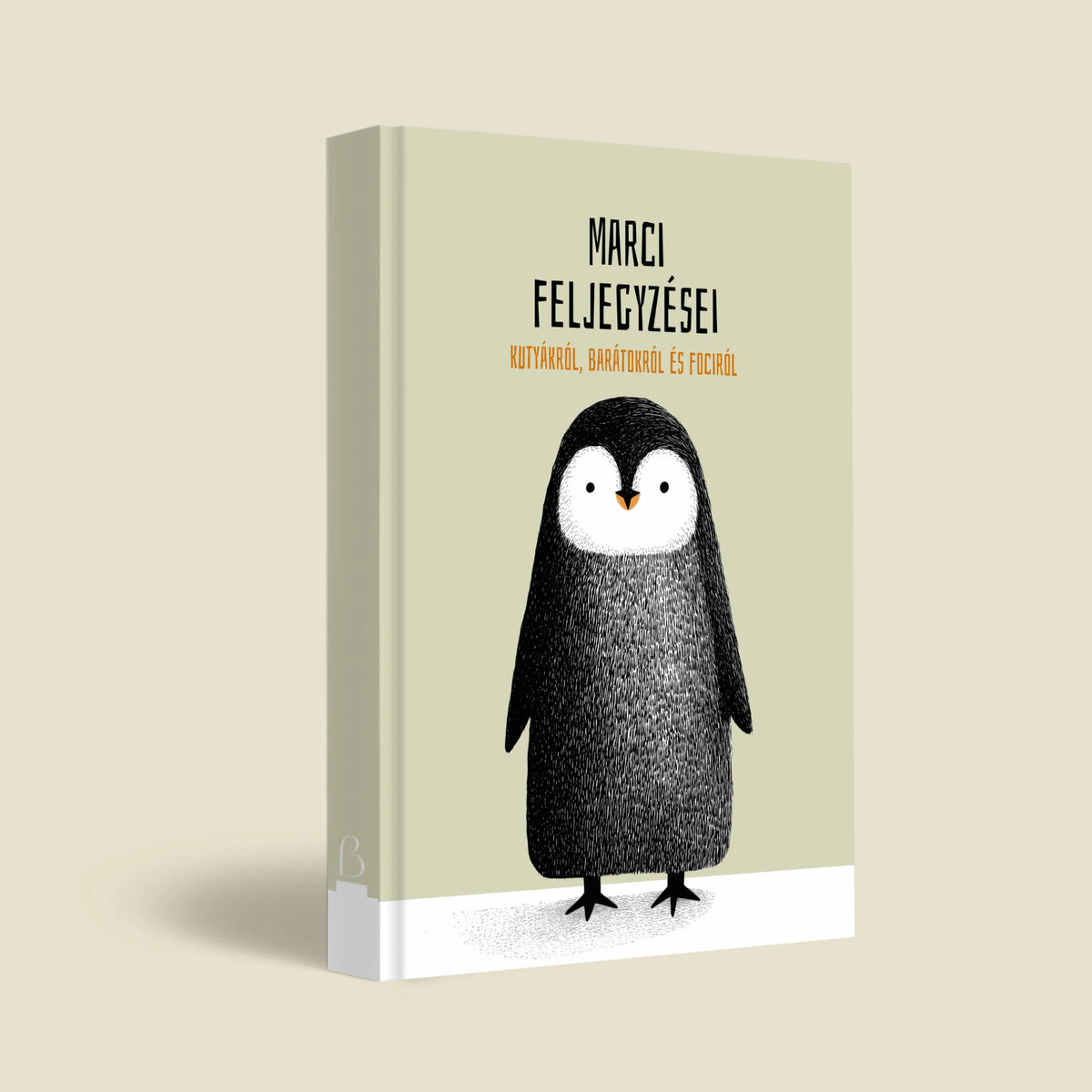 mockup_borito_brinuti_tib másolat