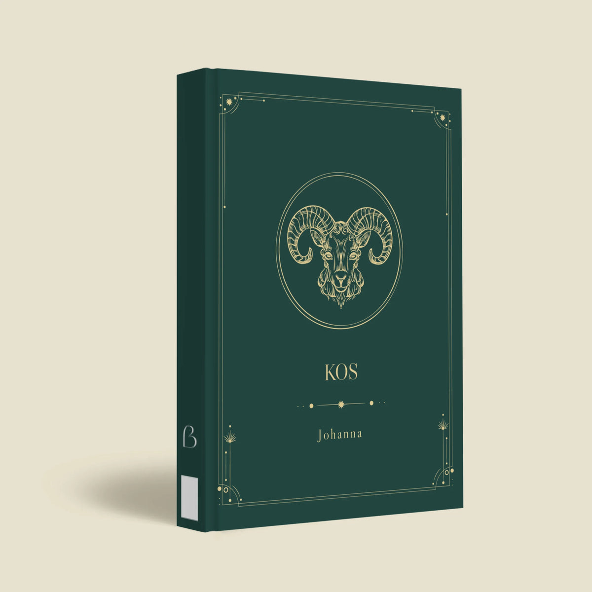 mockup_borito_brinuti_tib másolat