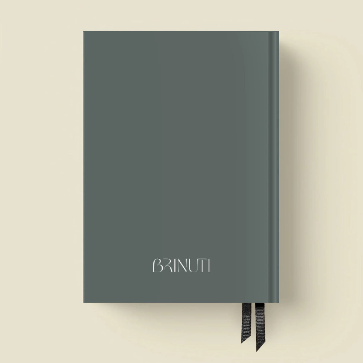 mockup_borito_brinuti_tib másolat