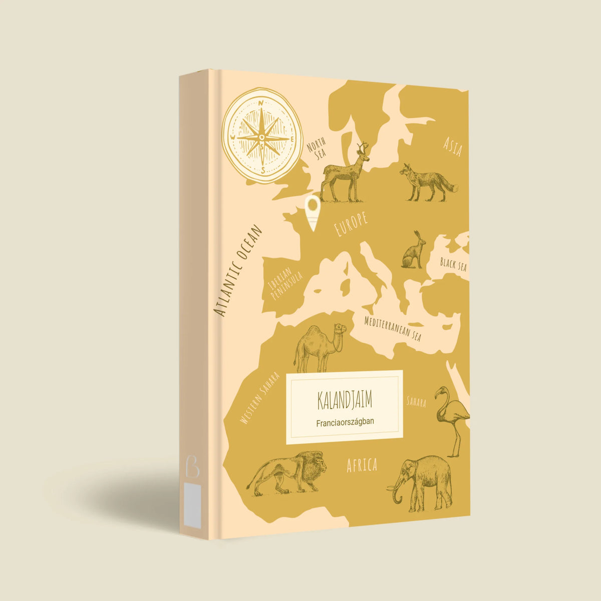 mockup_borito_brinuti_tib másolat