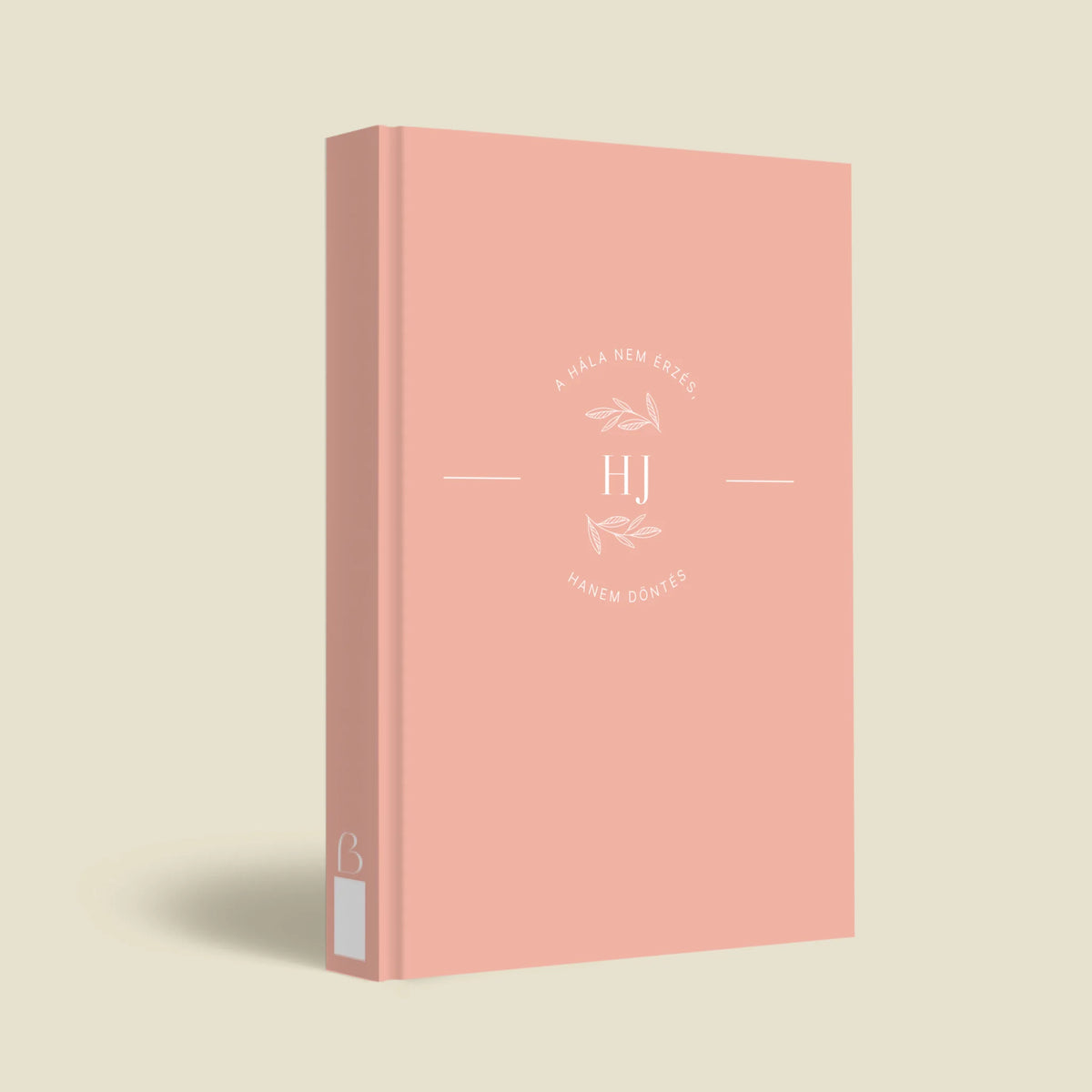mockup_borito_brinuti_tib másolat