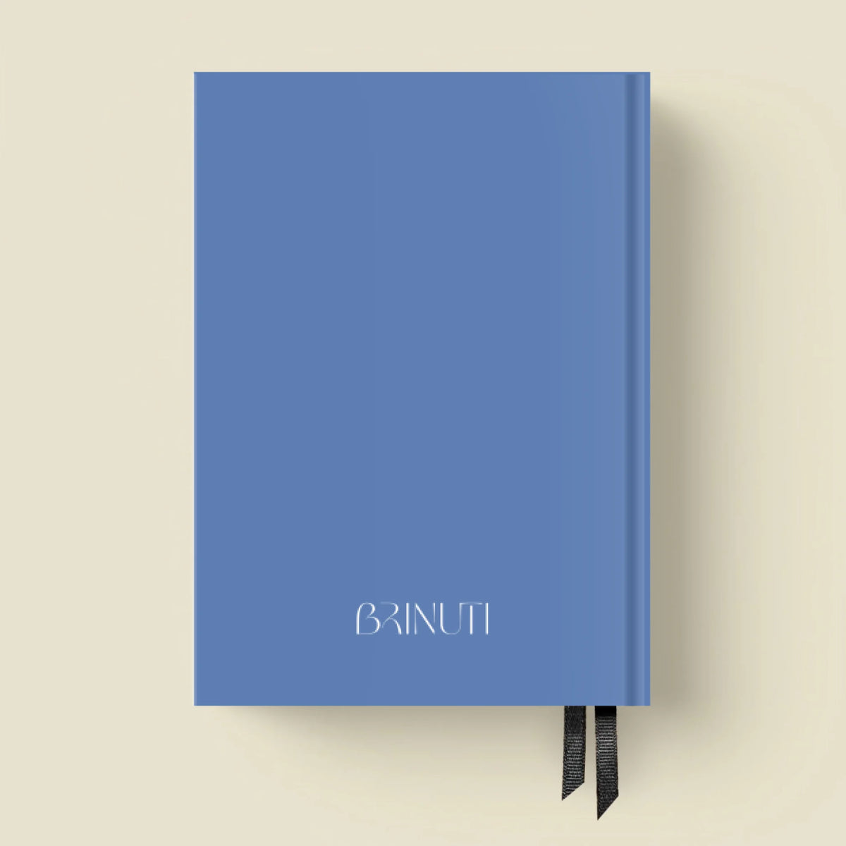 mockup_borito_brinuti_tib másolat