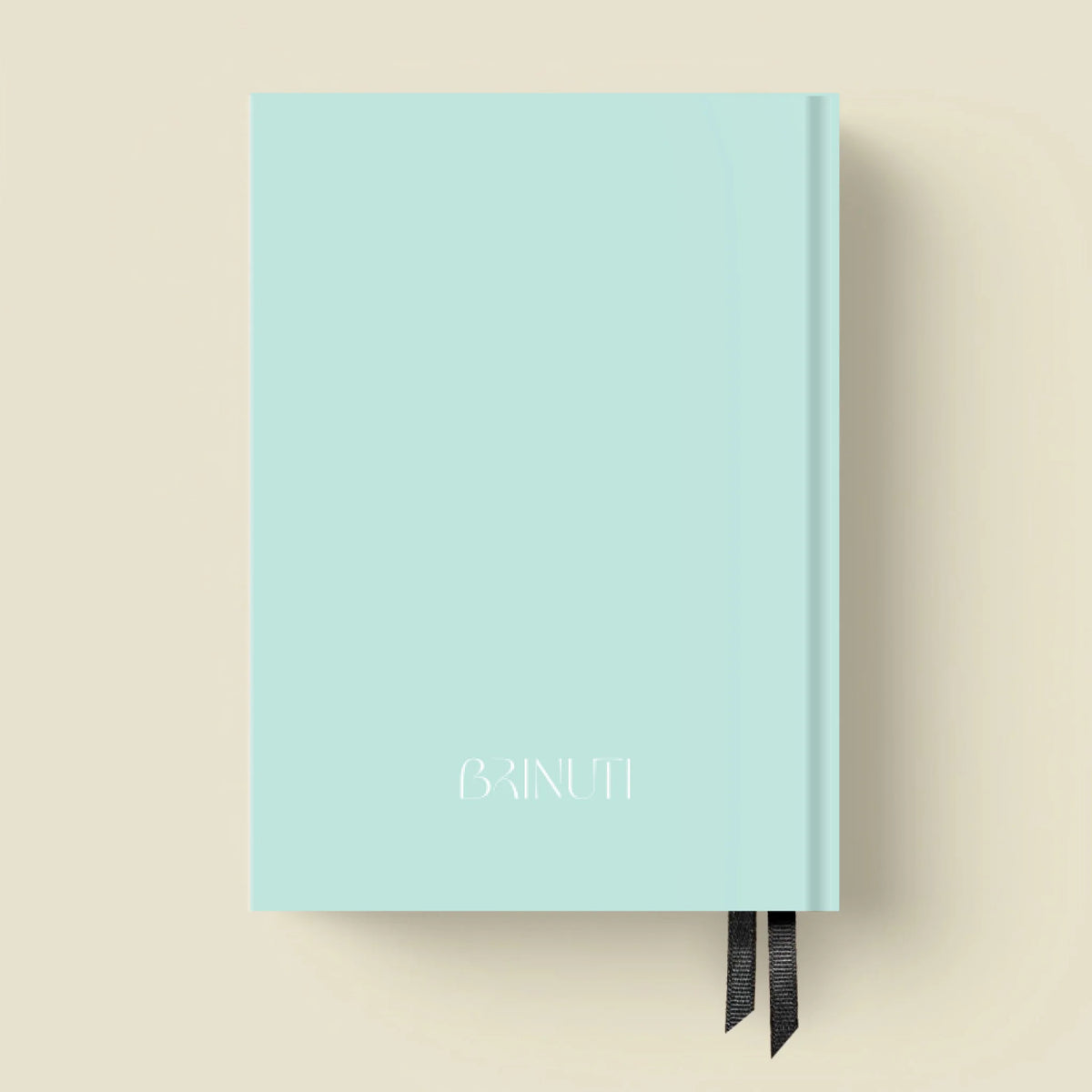 mockup_borito_brinuti_tib másolat