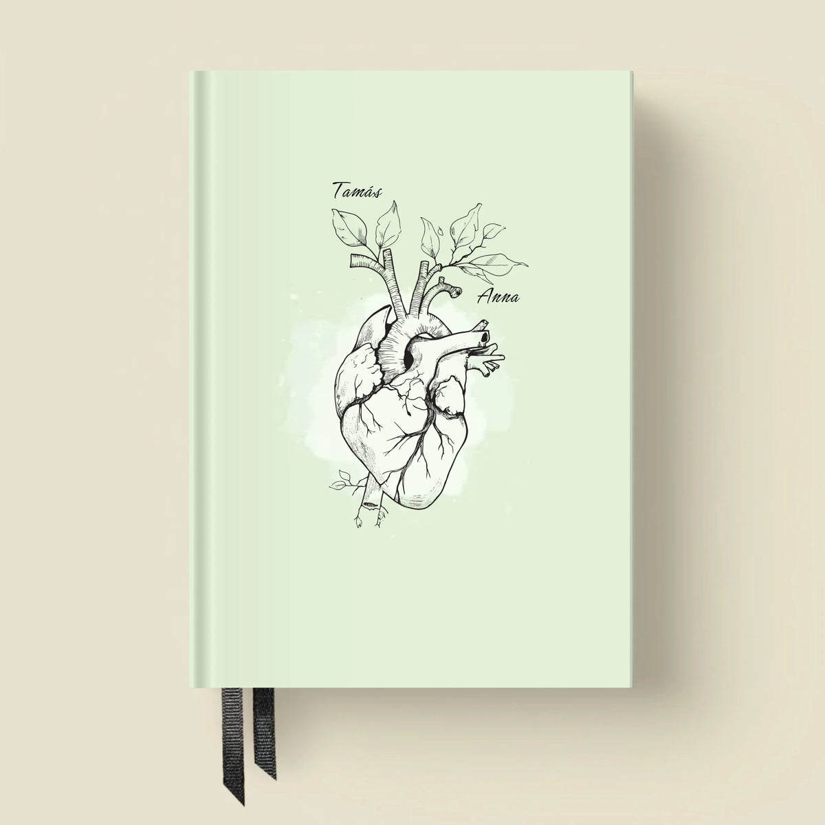 mockup_borito_brinuti_tib másolat