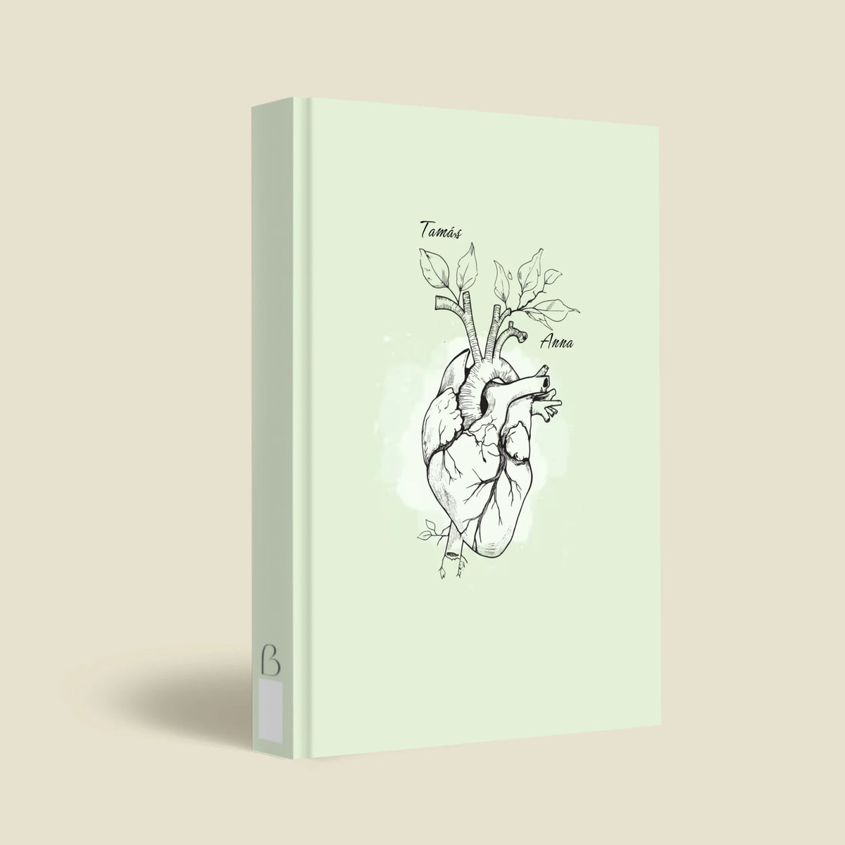 mockup_borito_brinuti_tib másolat