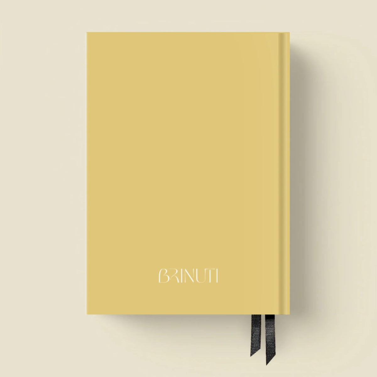 mockup_borito_brinuti_tib másolat