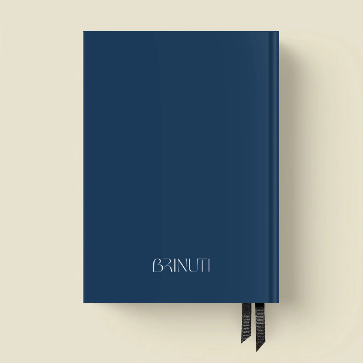 mockup_borito_brinuti_tib másolat