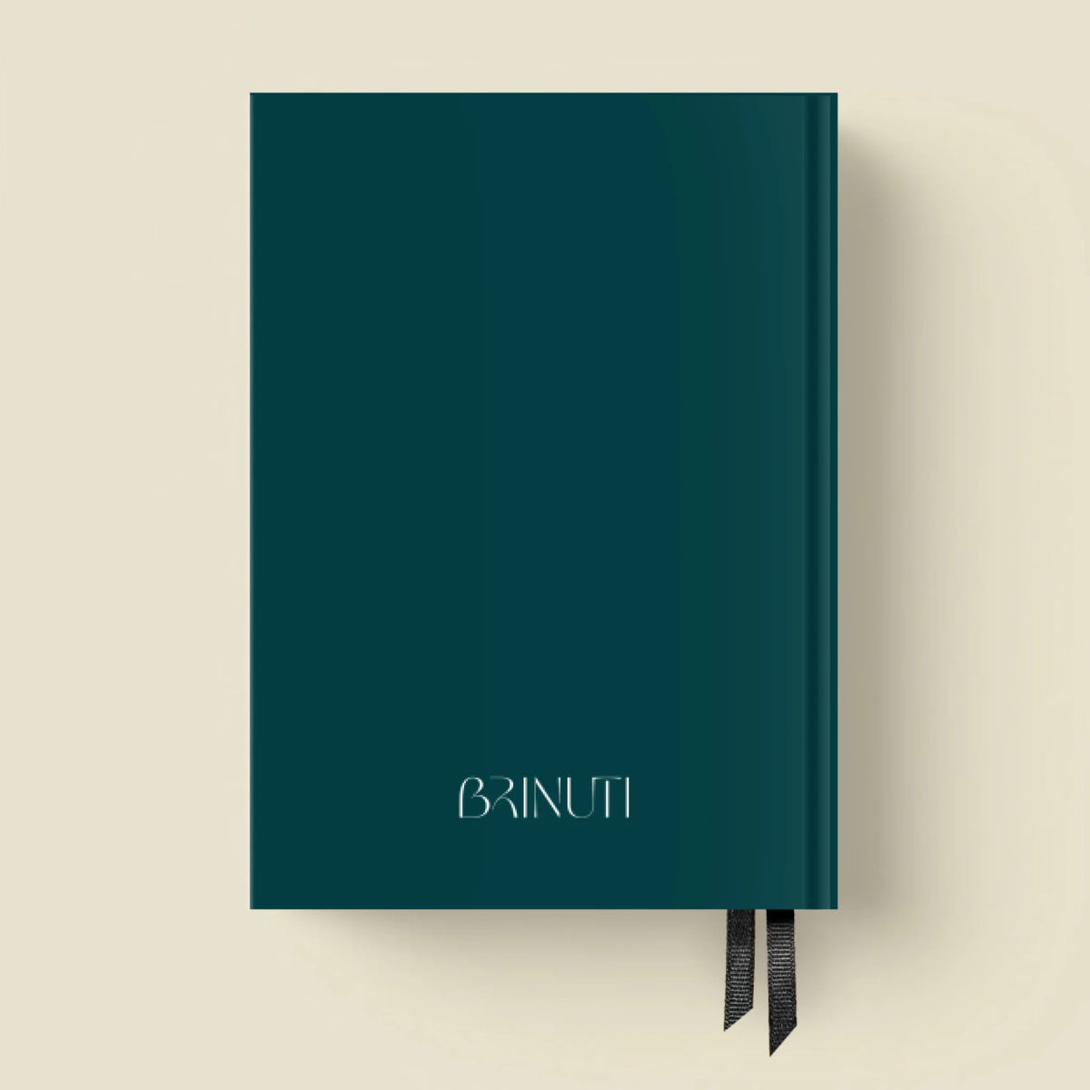 mockup_borito_brinuti_tib másolat