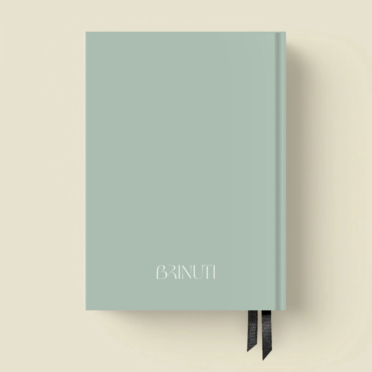 mockup_borito_brinuti_tib másolat