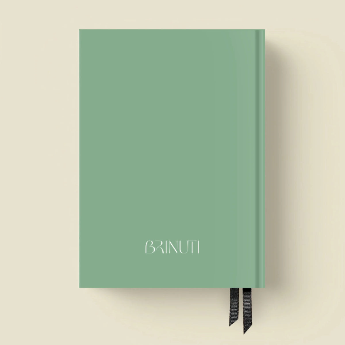 mockup_borito_brinuti_tib másolat