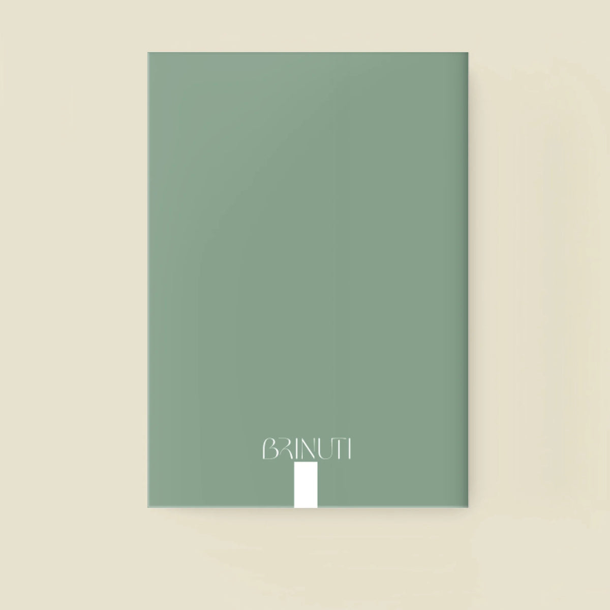 mockup_borito_brinuti_tib_fuzet másolat