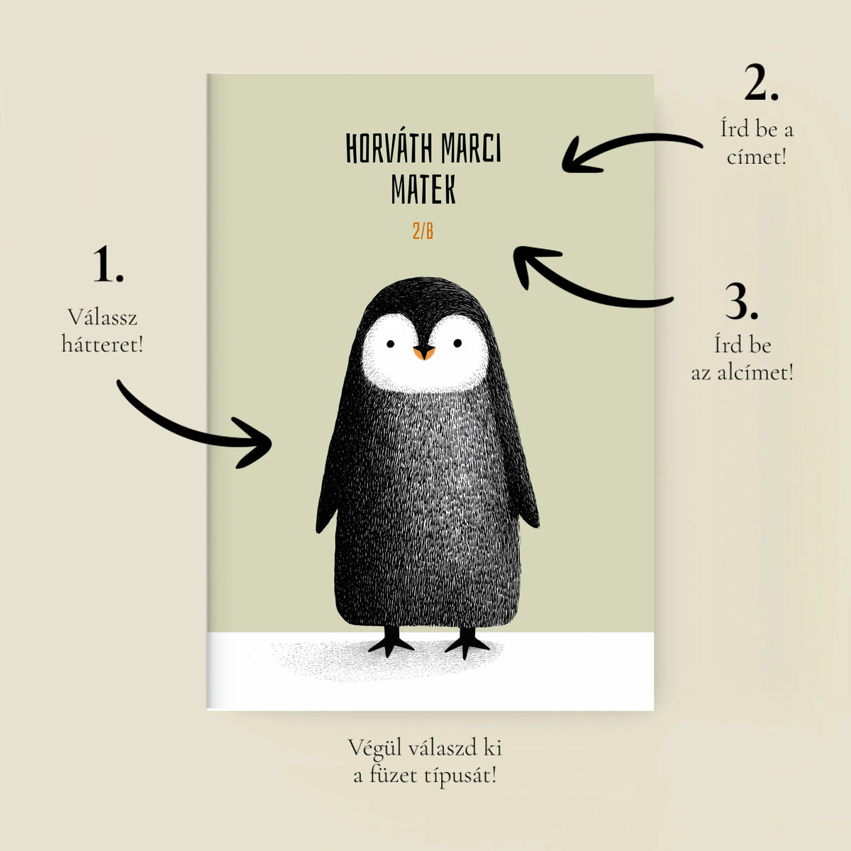 mockup_borito_brinuti_tib_fuzet másolat