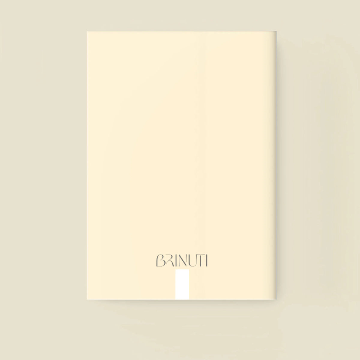 mockup_borito_brinuti_tib_fuzet másolat