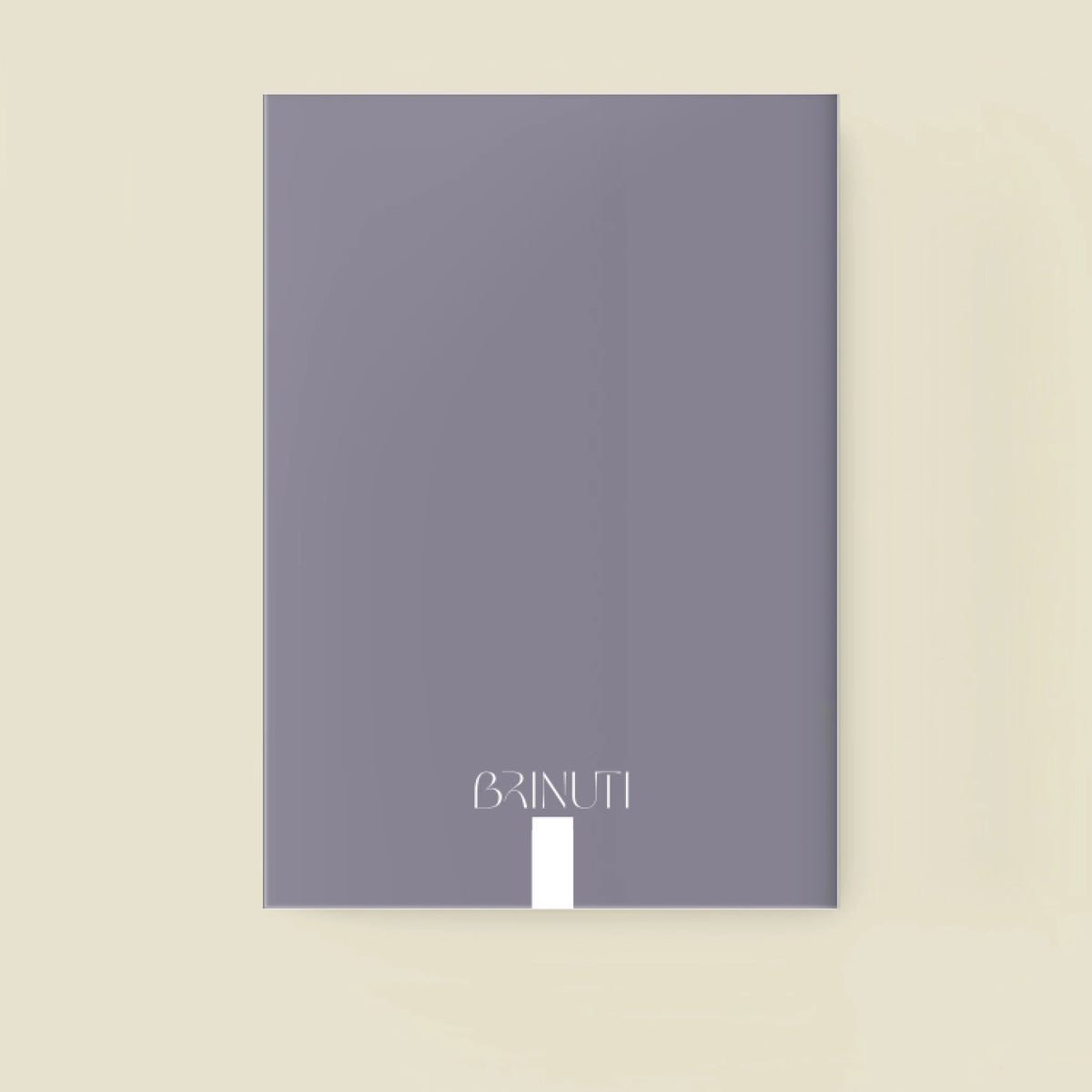 mockup_borito_brinuti_tib_fuzet másolat