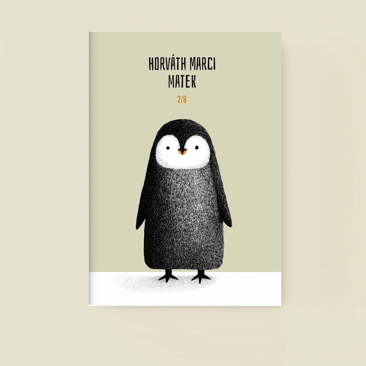 mockup_borito_brinuti_tib_fuzet másolat