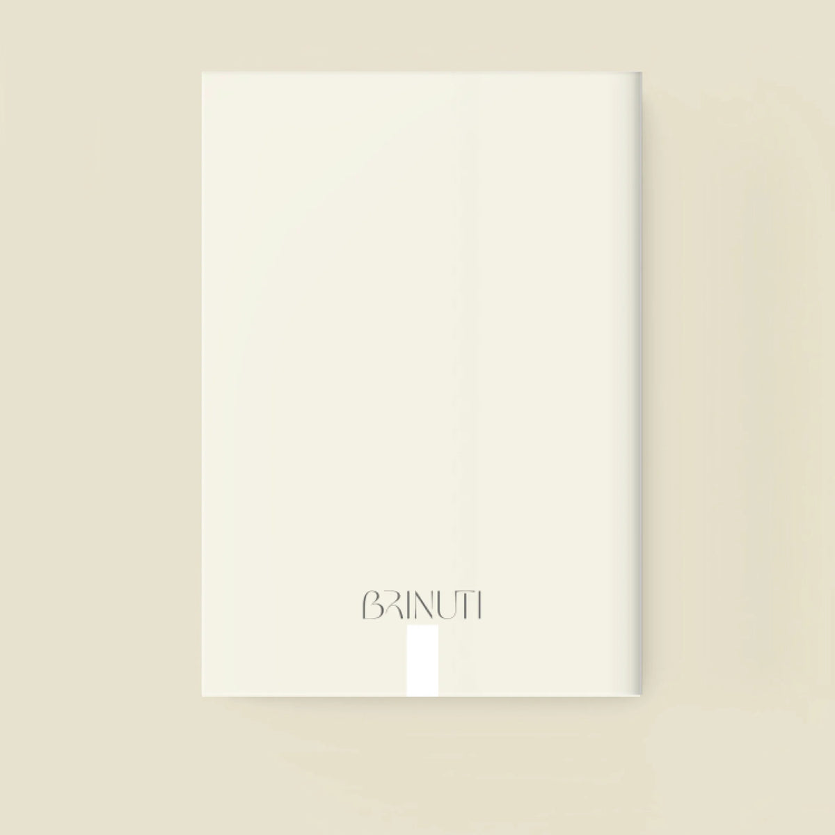 mockup_borito_brinuti_tib_fuzet másolat