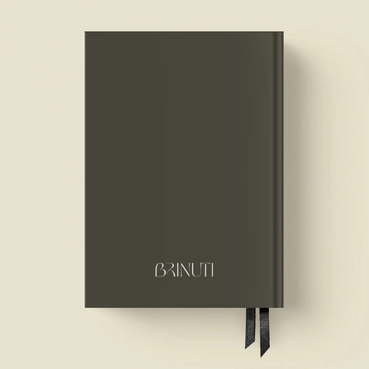 mockup_borito_brinuti_tib másolat