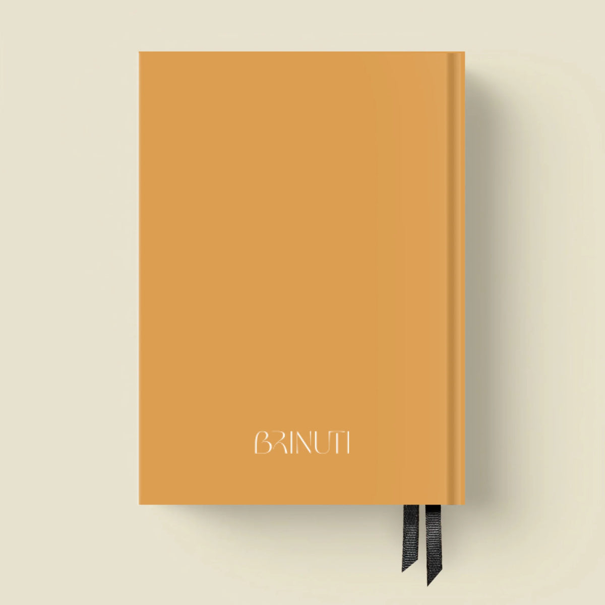 mockup_borito_brinuti_tib másolat