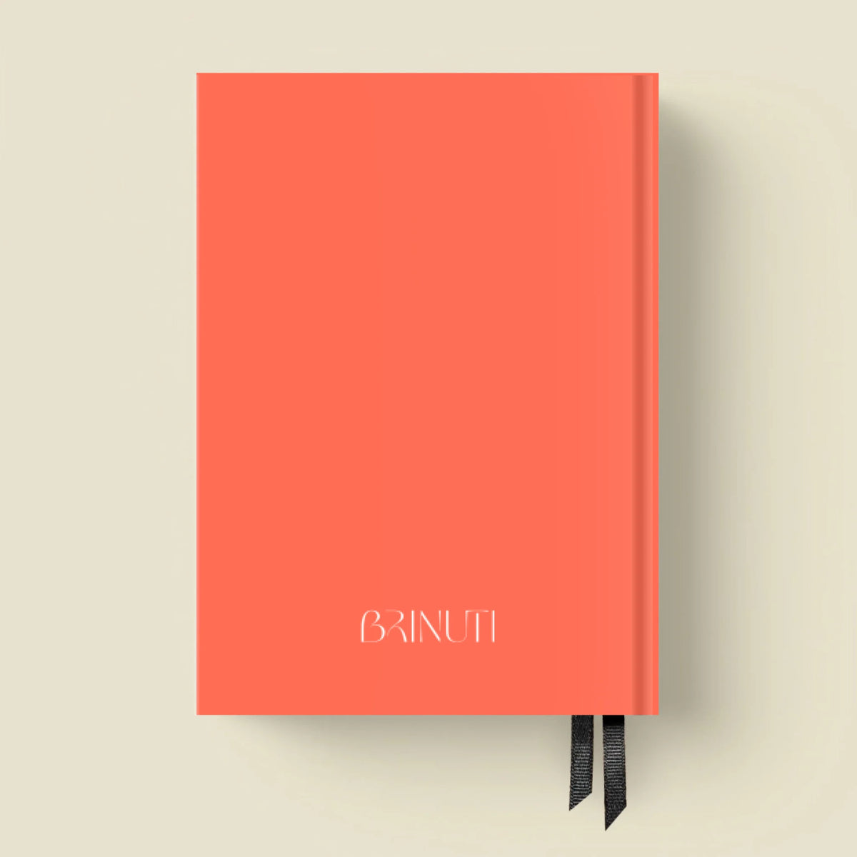 mockup_borito_brinuti_tib másolat