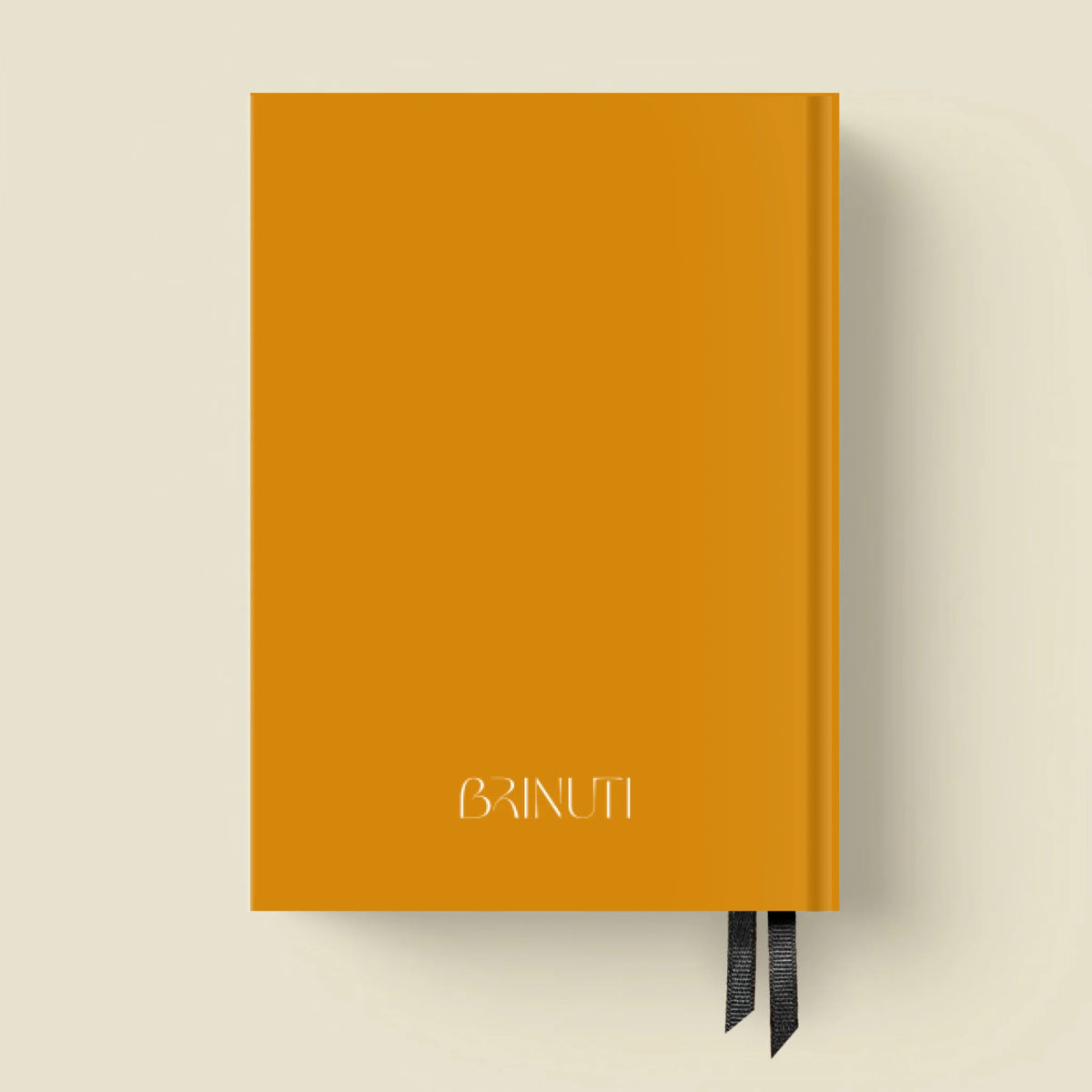 mockup_borito_brinuti_tib másolat