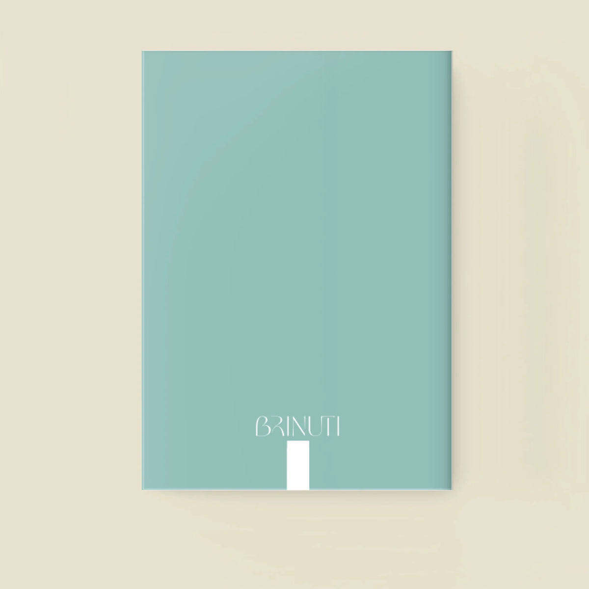 mockup_borito_brinuti_tib_fuzet másolat