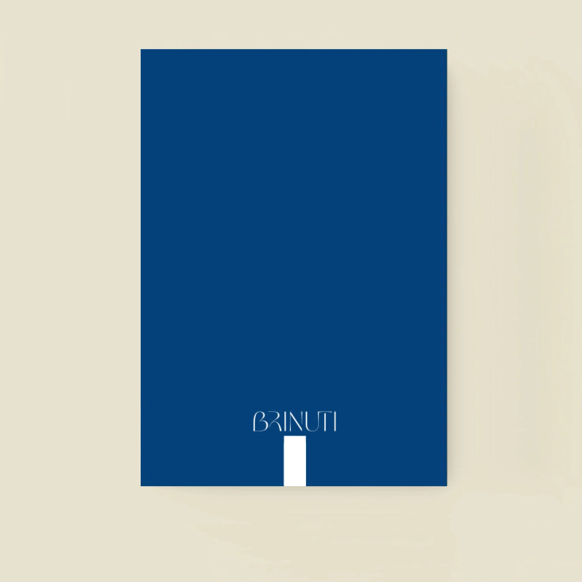 mockup_borito_brinuti_tib_fuzet másolat