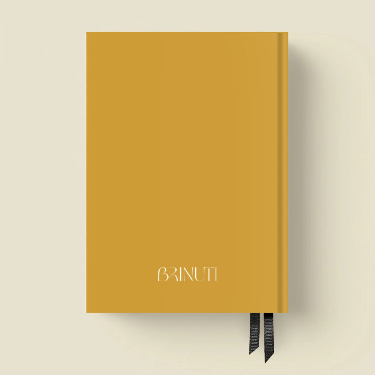 mockup_borito_brinuti_tib másolat